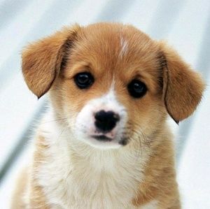 Meet your Posher, Ethan